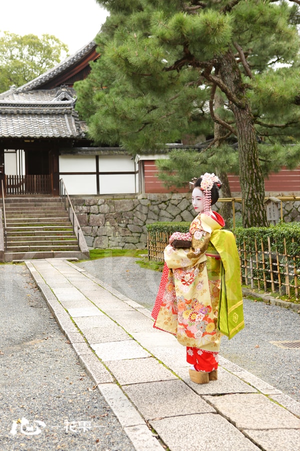 maiko 