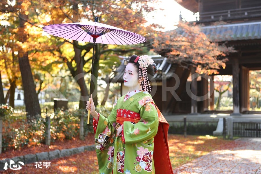 京都 舞妓 体験 着物 旅行 観光 秋 紅葉 祇園 