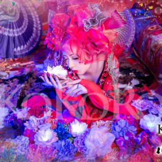 花魁体験 金魚花