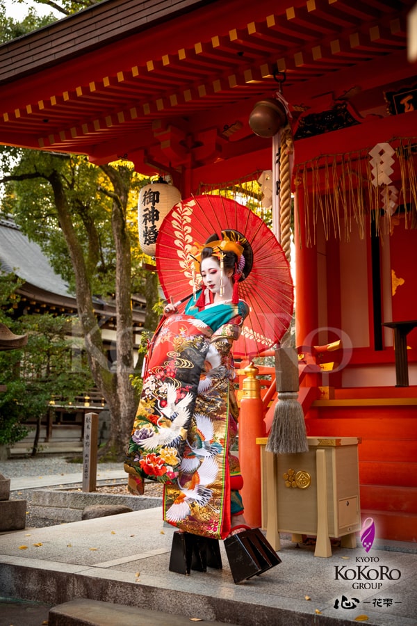 花魁体験　野外撮影