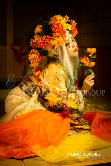 菊　着物　変身写真