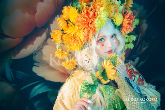 菊　着物　変身写真