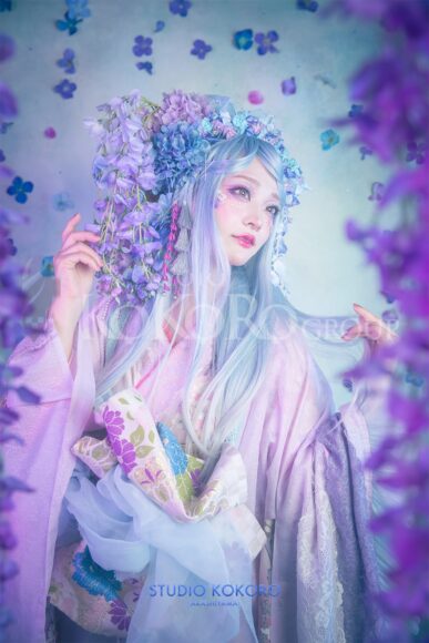 紫陽花　藤　着物　変身写真