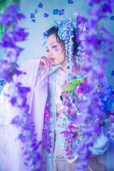紫陽花　藤　着物　変身写真